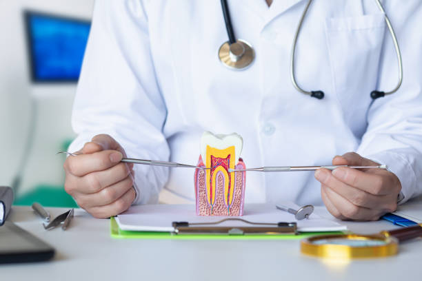 Best Emergency Dental Care for Abscessed Tooth in Atlantic Highlands, NJ